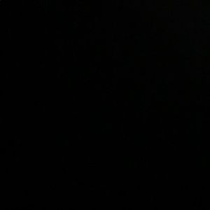 Meet your Posher, Gracie